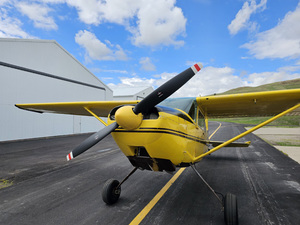 1953 Cessna 180 for sale