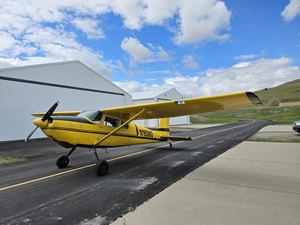 1953 Cessna 180 for sale